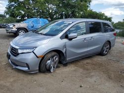 Honda Odyssey ex salvage cars for sale: 2024 Honda Odyssey EX