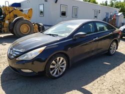 Hyundai Sonata salvage cars for sale: 2013 Hyundai Sonata SE