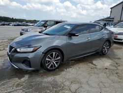 Nissan Maxima salvage cars for sale: 2019 Nissan Maxima S