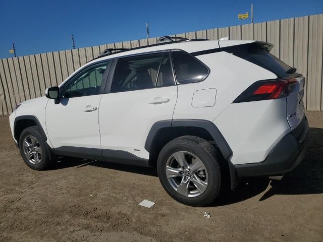 2024 Toyota Rav4 XLE