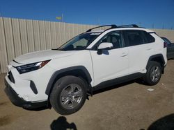 Vehiculos salvage en venta de Copart San Martin, CA: 2024 Toyota Rav4 XLE