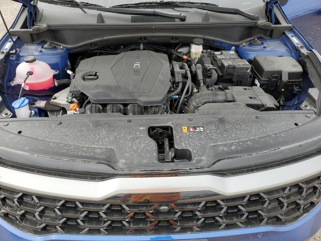 2024 KIA Sportage X-pro