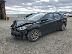 2014 Hyundai Elantra SE for sale in Helena, MT