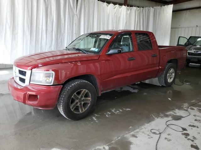 2010 Dodge Dakota SXT