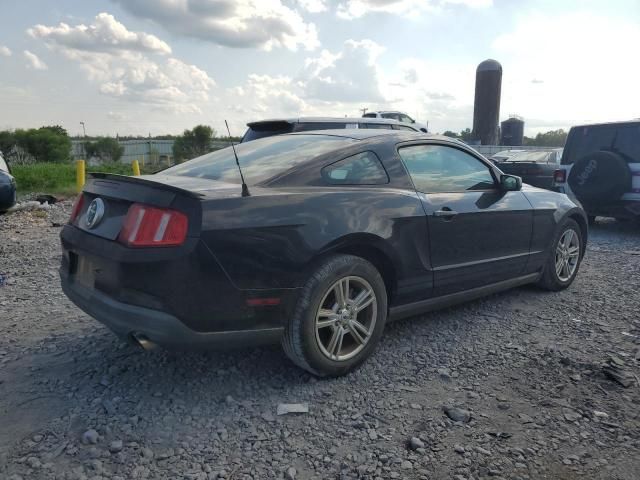 2010 Ford Mustang