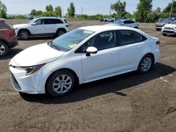 Toyota Corolla salvage cars for sale: 2020 Toyota Corolla LE