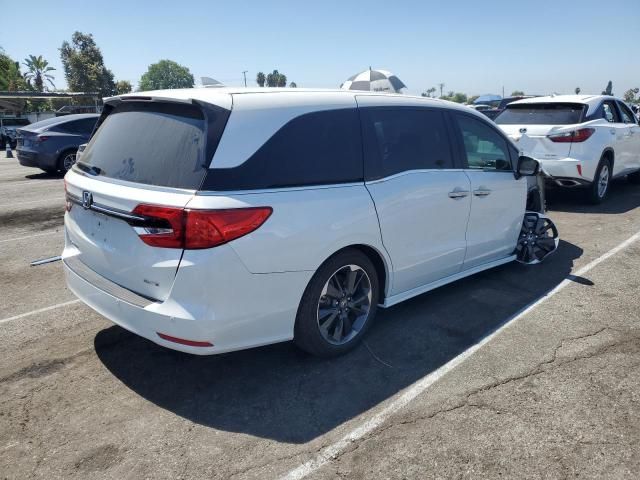 2023 Honda Odyssey Elite