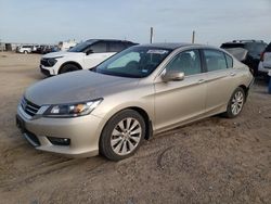 Salvage cars for sale from Copart Amarillo, TX: 2014 Honda Accord EXL