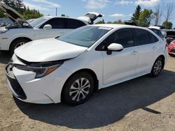 Vehiculos salvage en venta de Copart Ontario Auction, ON: 2024 Toyota Corolla LE