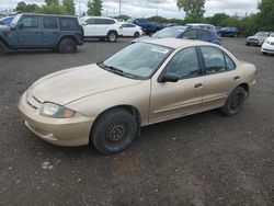 Chevrolet salvage cars for sale: 2004 Chevrolet Cavalier