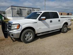 Vehiculos salvage en venta de Copart Bismarck, ND: 2014 Ford F150 Supercrew