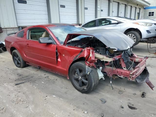 2005 Ford Mustang