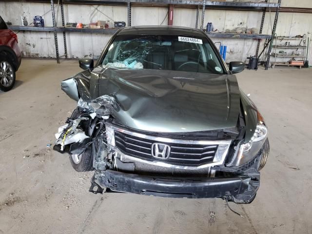 2010 Honda Accord EXL