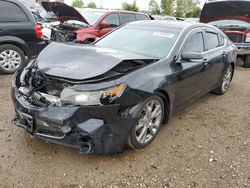 2013 Acura TL Advance for sale in Elgin, IL