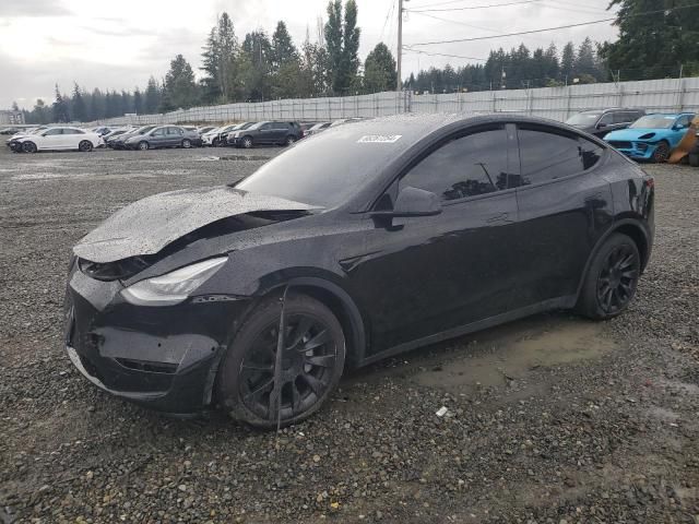 2020 Tesla Model Y