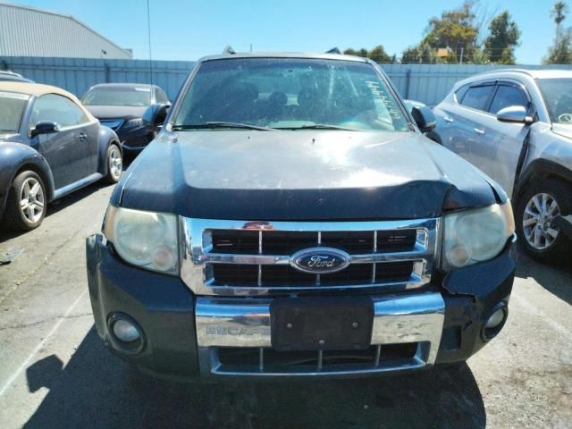 2008 Ford Escape Limited