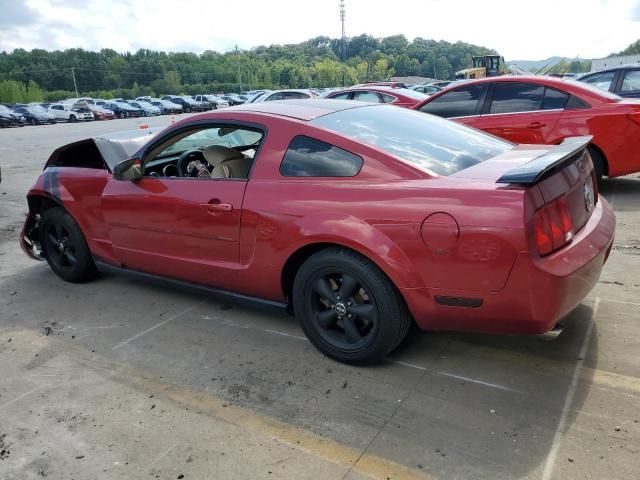 2005 Ford Mustang