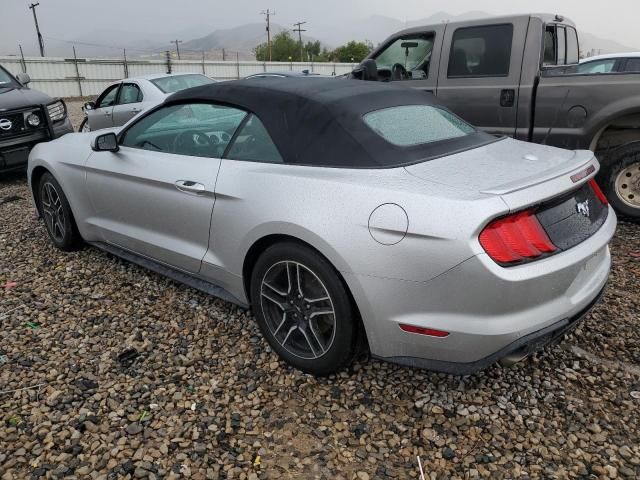 2019 Ford Mustang