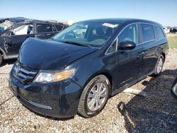 Honda salvage cars for sale: 2016 Honda Odyssey EXL