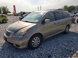 Honda Odyssey ex salvage cars for sale: 2009 Honda Odyssey EX