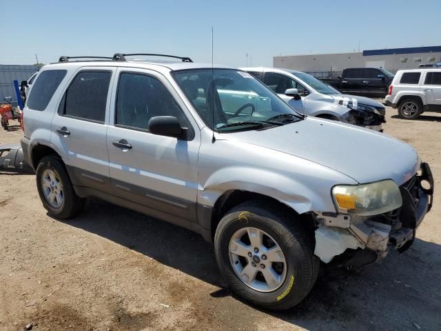 2007 Ford Escape XLT