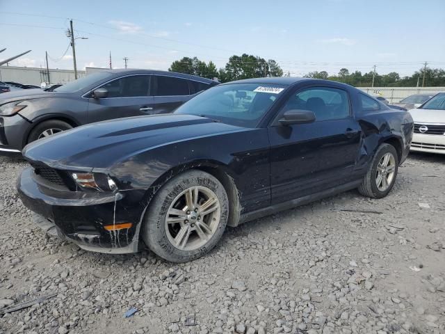 2010 Ford Mustang