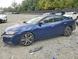 Nissan Maxima salvage cars for sale: 2021 Nissan Maxima SV