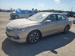 Honda salvage cars for sale: 2016 Honda Accord EXL