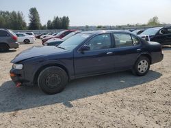 Nissan Maxima salvage cars for sale: 1995 Nissan Maxima GLE