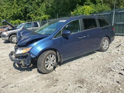 Honda salvage cars for sale: 2016 Honda Odyssey EX