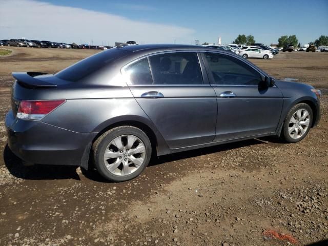 2008 Honda Accord EXL