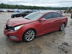 Hyundai Sonata salvage cars for sale: 2014 Hyundai Sonata SE