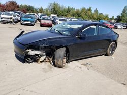 Tesla Model 3 salvage cars for sale: 2024 Tesla Model 3