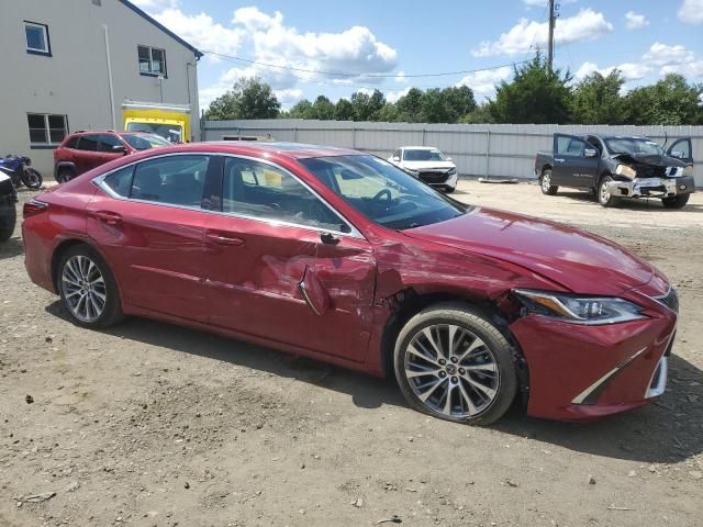 2019 Lexus ES 350