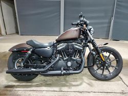 Harley-Davidson Vehiculos salvage en venta: 2019 Harley-Davidson XL883 N