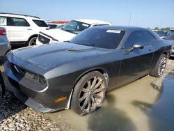 Dodge Challenger salvage cars for sale: 2012 Dodge Challenger R/T