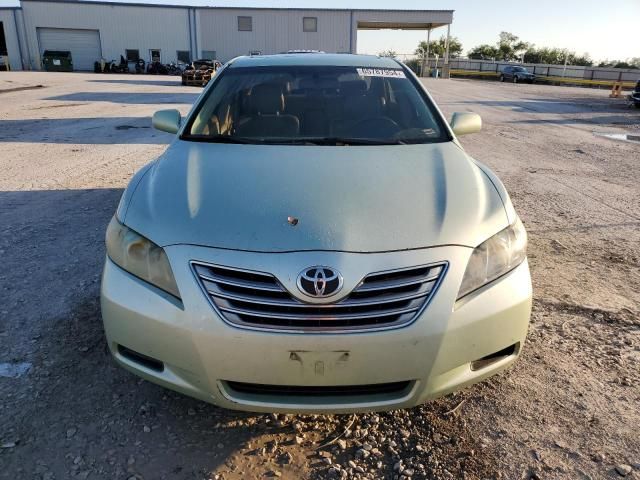 2009 Toyota Camry Hybrid