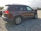 2011 KIA Sorento EX