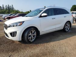 Vehiculos salvage en venta de Copart Ontario Auction, ON: 2017 KIA Sorento SX