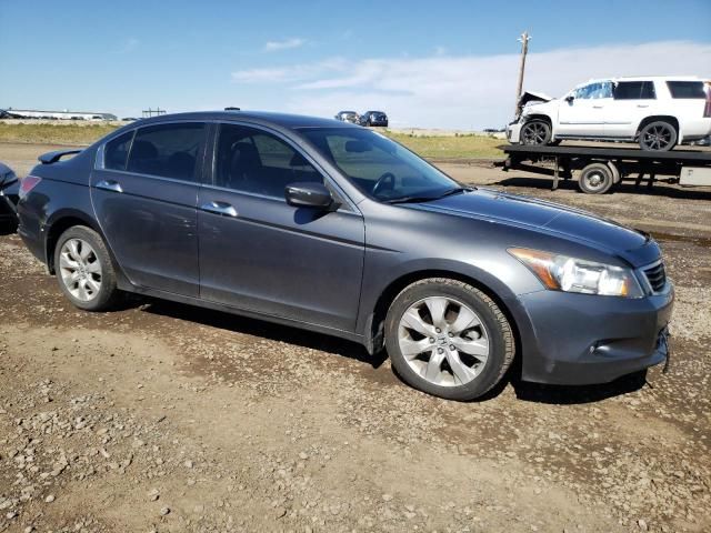 2008 Honda Accord EXL