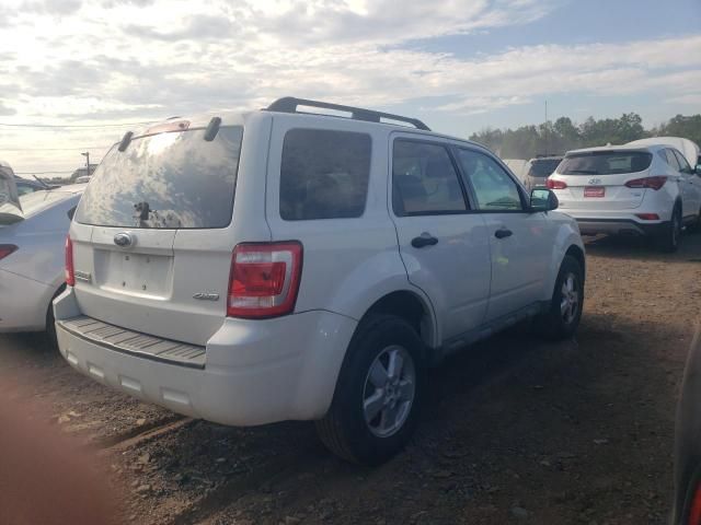 2009 Ford Escape XLT