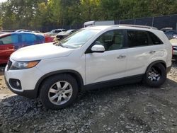 KIA Sorento salvage cars for sale: 2012 KIA Sorento Base