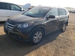 Honda crv salvage cars for sale: 2014 Honda CR-V EXL