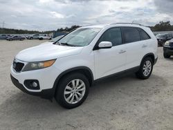 KIA Sorento salvage cars for sale: 2011 KIA Sorento EX