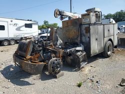 Peterbilt 335 Vehiculos salvage en venta: 2007 Peterbilt 335