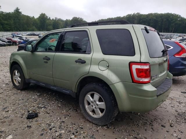 2008 Ford Escape XLT