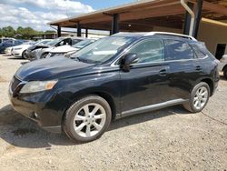 Lexus rx350 salvage cars for sale: 2010 Lexus RX 350