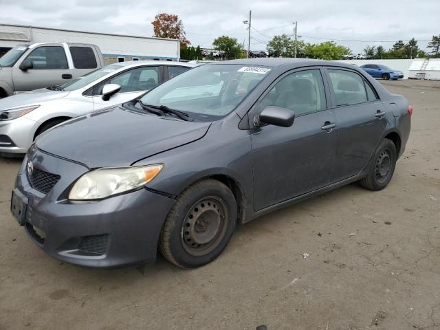 2009 Toyota Corolla Base