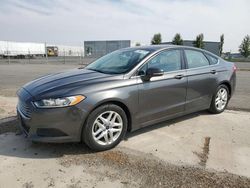 Salvage cars for sale from Copart Pasco, WA: 2016 Ford Fusion SE