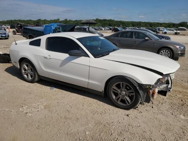 2010 Ford Mustang